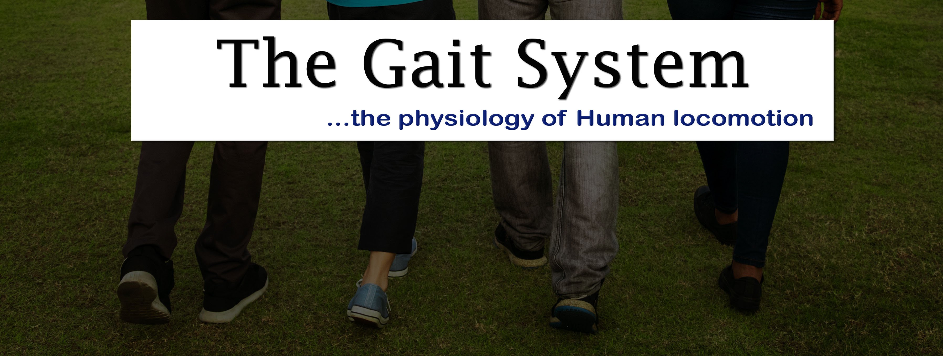 The Gait System How Gait Recognition Works & Physiotherapy
